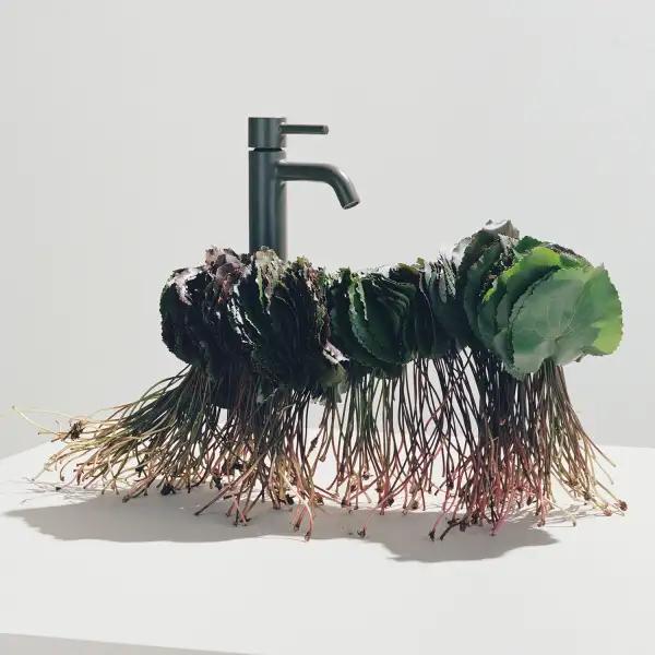 Zucchetti — Pans