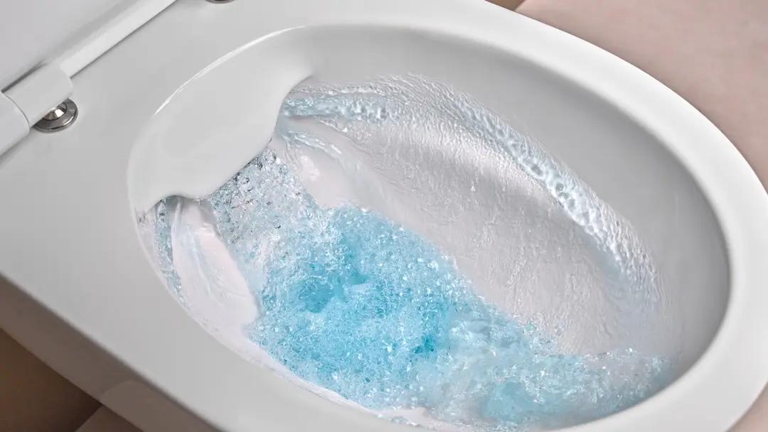 Geberit — RimFree